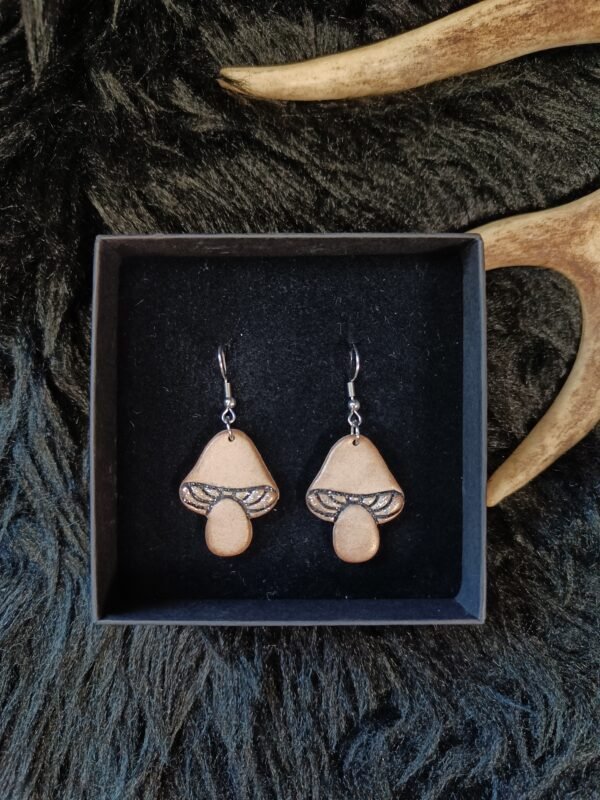 IMG20251013155319 Sieni-korvakorut, vaaleanruskea