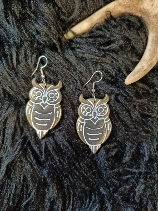 IMG20251027130459 Pöllö-korvakorut, metallinhohto