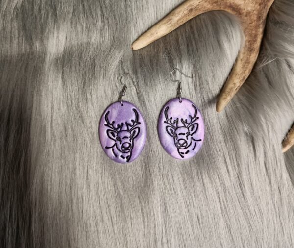 IMG20260107133032 (1) Poro-korvakorut, ametisti